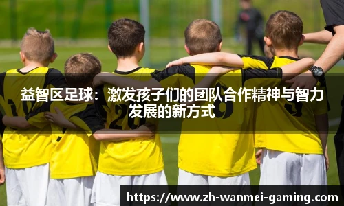 益智区足球：激发孩子们的团队合作精神与智力发展的新方式